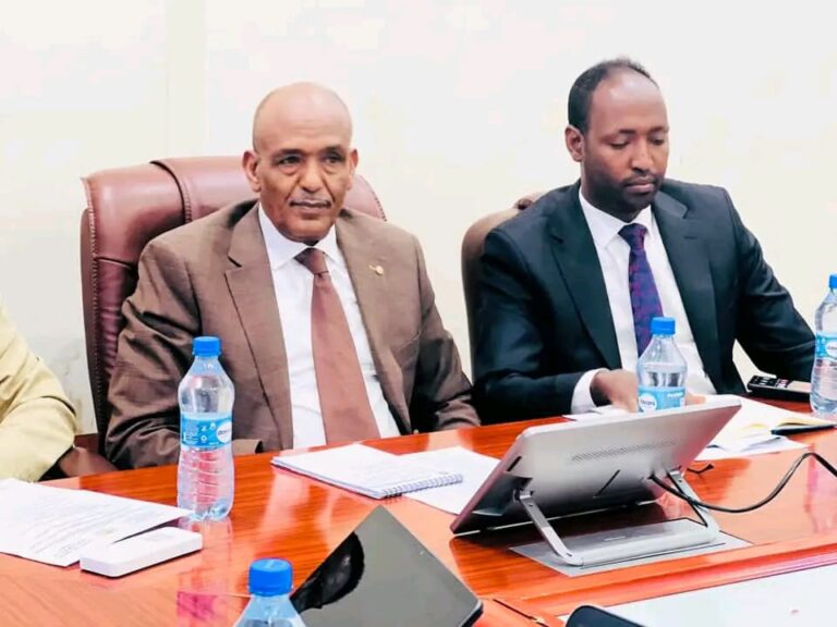 Minister of Interior, Local Governments and Reconciliation in Southwest State of Somalia