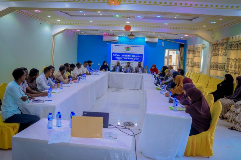 Social Cohesion Strategy Validation Workshop